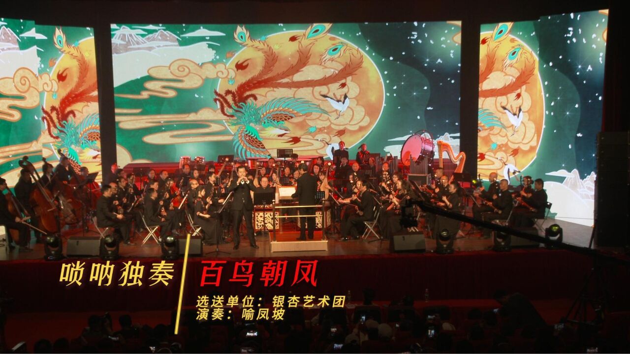 4嗩吶獨奏:百鳥朝鳳 成都市第二十一屆老年藝術節文藝匯演