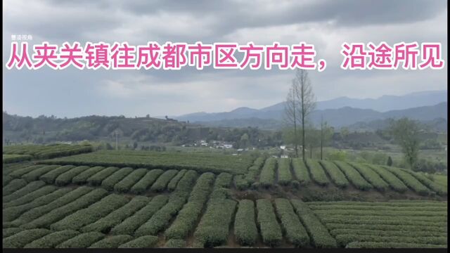 23年3月底,从四川邛崃夹关镇往成都市区方向走,沿途所见