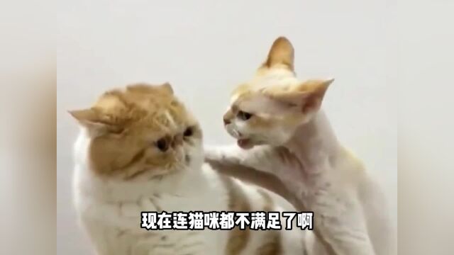 我今天真是开了眼了