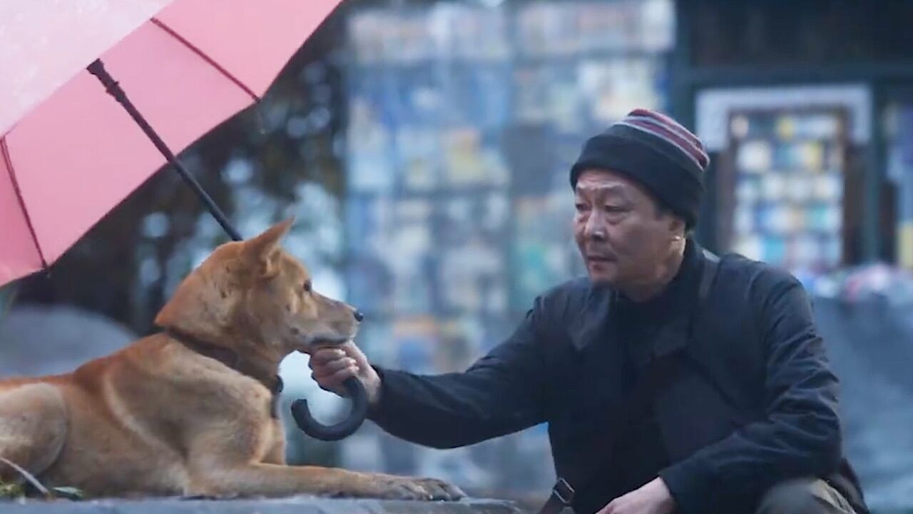 忠犬八公精彩片段图片