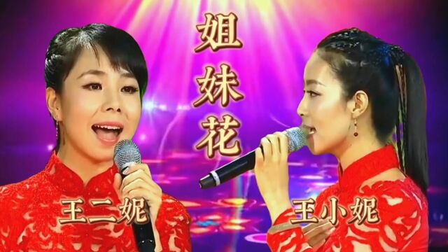 请欣赏王二妮王小妮姐妹二人演唱的姐妹花