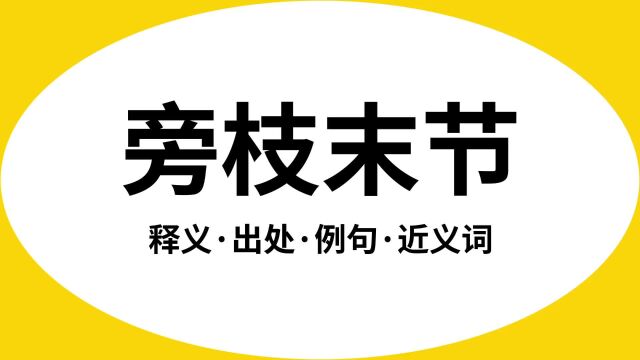 “旁枝末节”是什么意思?