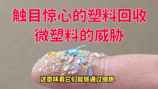 触目惊心的塑料回收:微塑料的威胁