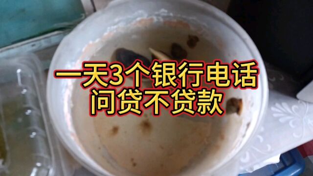 一天接3个推销电话都是银行让我贷款的,以前不是都要求银行吗?