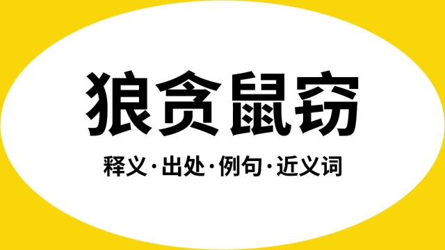 “狼贪鼠窃”是什么意思?