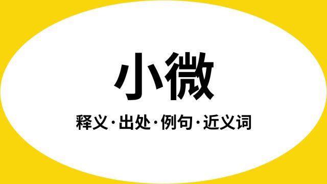 “小微”是什么意思?