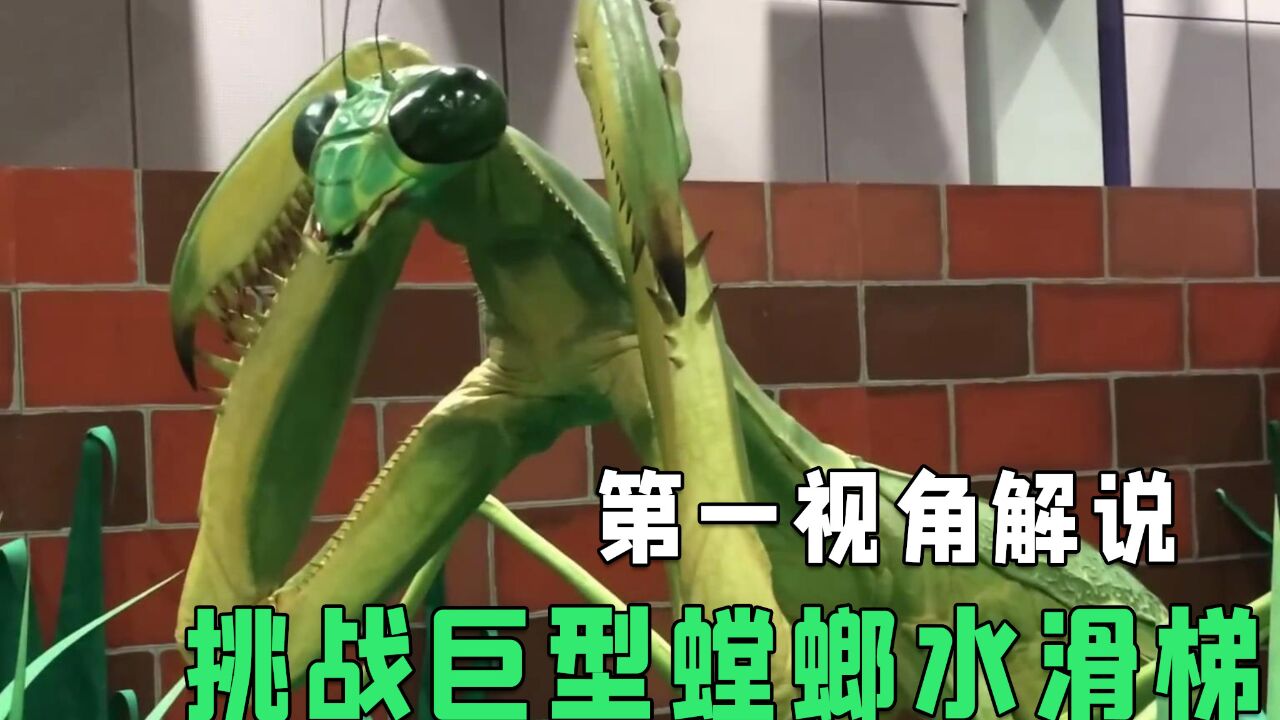 你敢挑战这样的螳螂水滑梯吗?