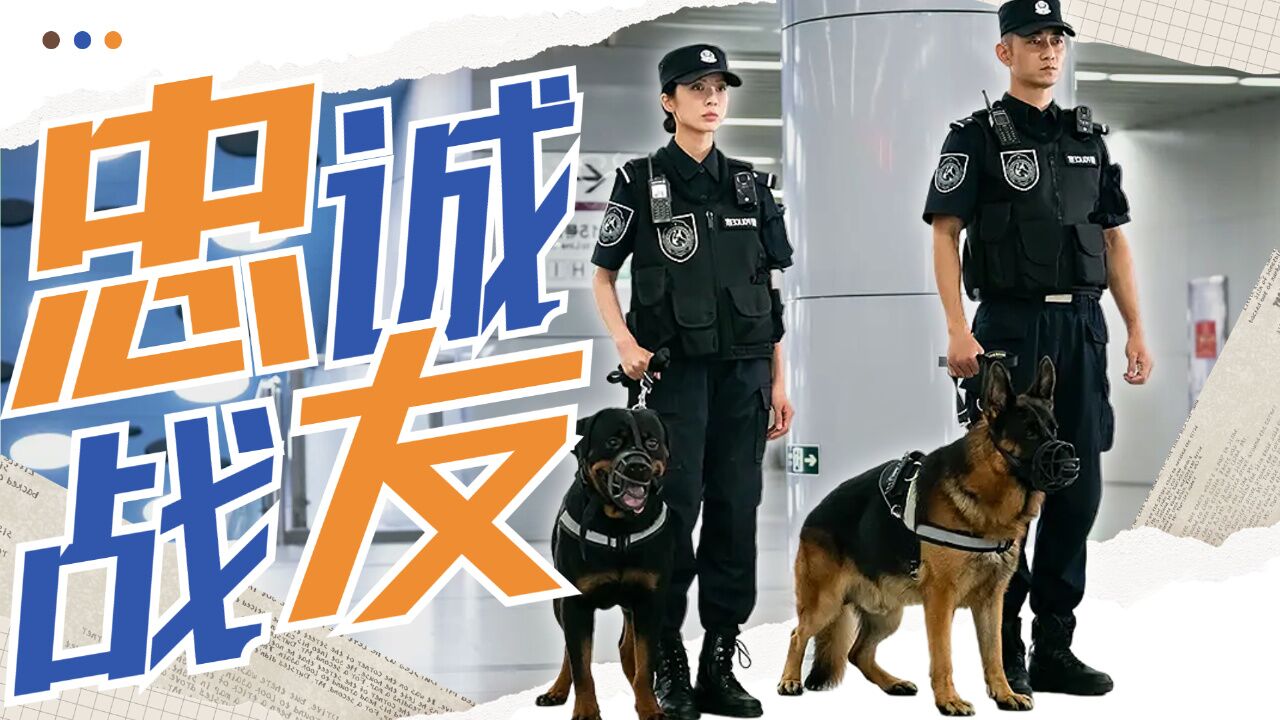 警犬队标语图片