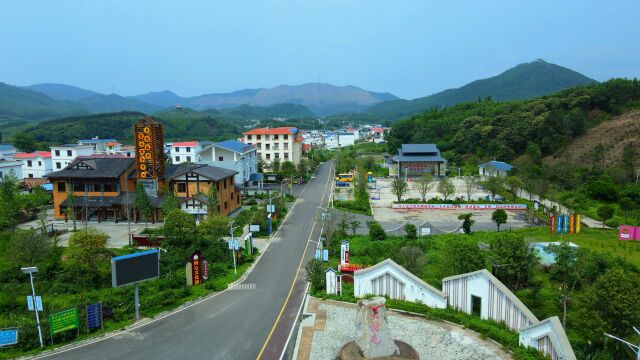 广西的这一村庄建设得真好,有戏楼有服务中心,村里道路通畅干净