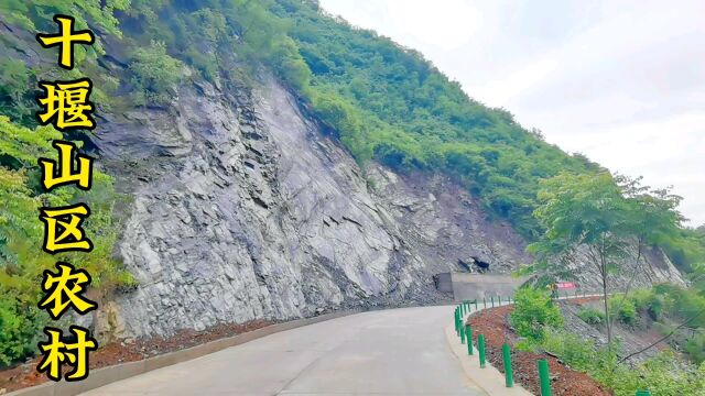 十堰山区农村夏日美景随拍都很治愈,青山绿水,白草红叶黄花惊艳