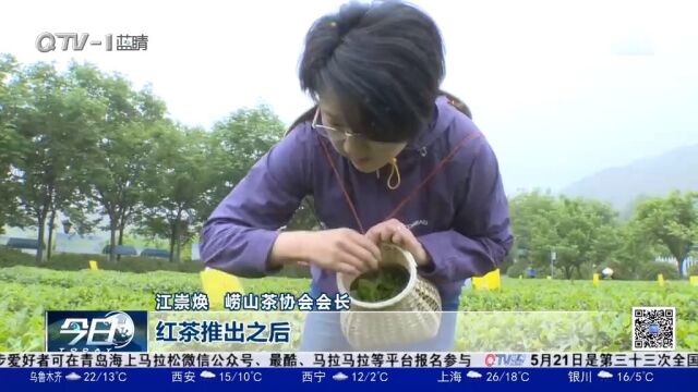 青岛崂山茶节闭幕,崂山凤羽红茶正式亮相