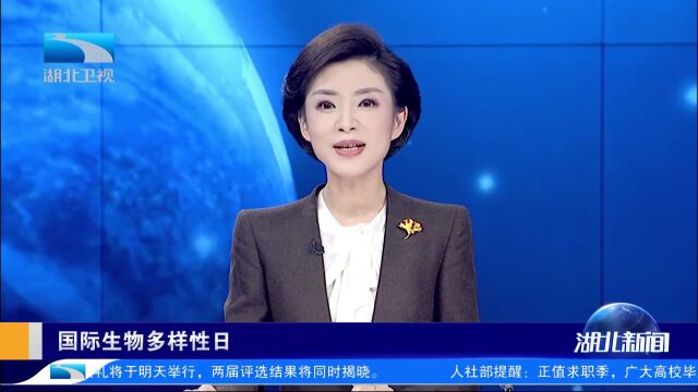 拼接栖息地!让金丝猴跨种“串门”更方便