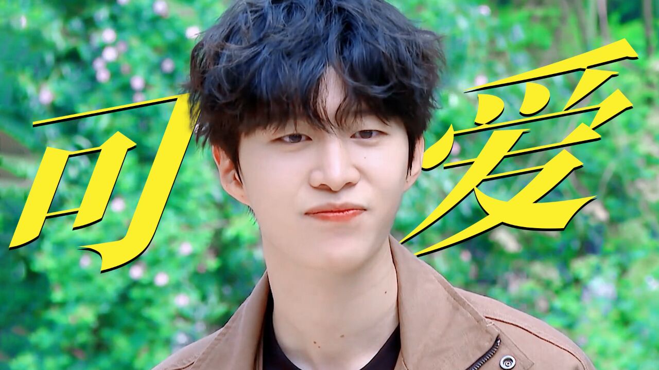 范丞丞不愧是天选综艺人,太可爱了!【奔跑吧7】