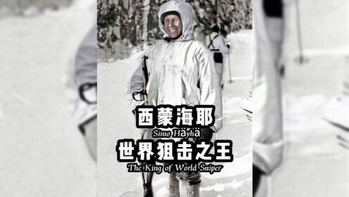 史上最强狙击手，世界狙击之王西蒙海耶，为何被称为白色死神