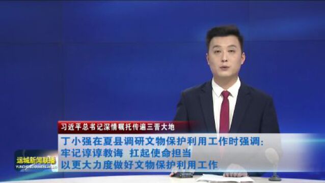 丁小强到夏县调研文物保护利用工作