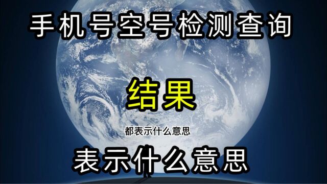 手机号空号检测查询结果都表示什么意思,手机号空号检测查询的结果说明