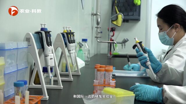 科技引领发展 健康成就未来——安徽歆智生物科技有限公司