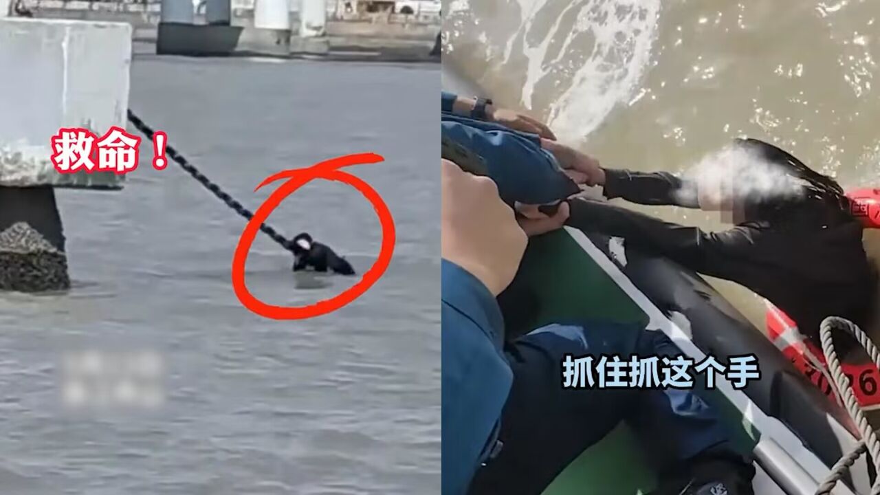 女子掉进海中疯狂挣扎,海警竭尽全力扔救生圈,成功将其救上岸_腾讯视频