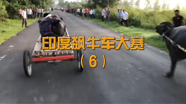 印度飙牛车大赛合集3