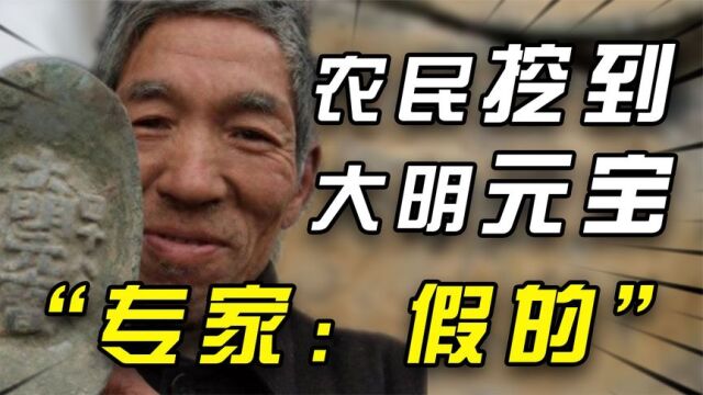 1998年一农民挖到大明元宝,5万没卖上交国家,12年后专家:假的