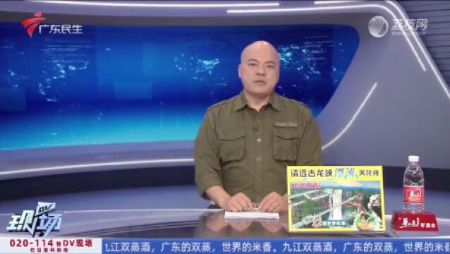 番禺市桥大北路,女子骑电动车被撞,连人带车卷入公交车车底