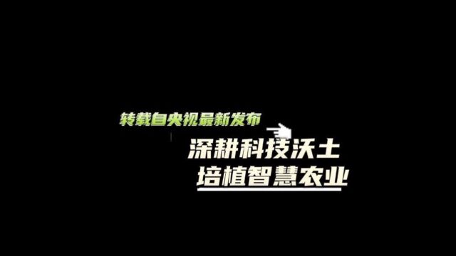 深耕科技沃土,培植智慧农业,兆迪在路上!