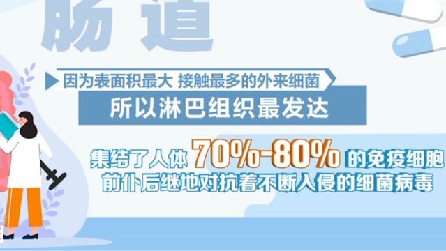 饮食习惯不良,首先影响肠道健康