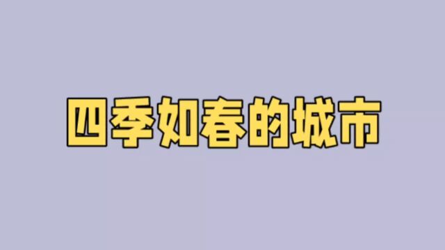 四季如春的城市,旅游必去