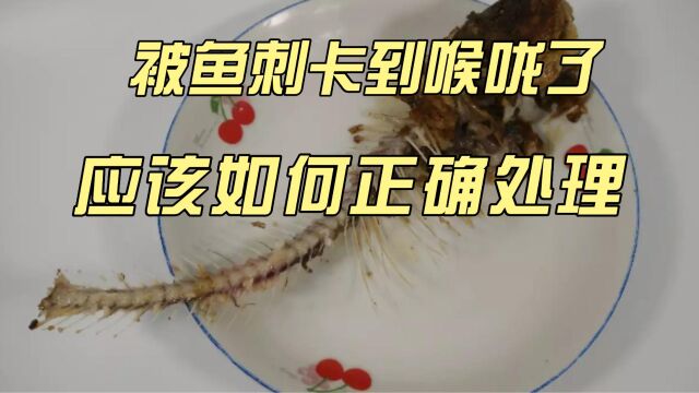 被鱼刺卡到喉咙了,应该如何正确处理