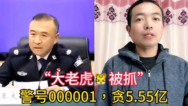 警号000001的大老虎被抓,贪5.55亿,支持死刑!