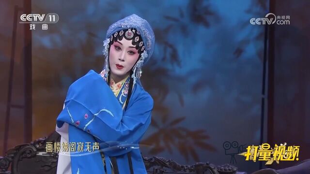 锡剧《玉蜻蜓》,黄云茜饰演申大娘,只落得含怨衔恨苦一身