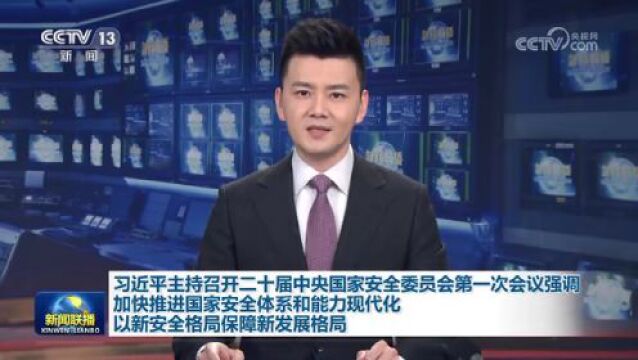 习近平:加快推进国家安全体系和能力现代化 以新安全格局保障新发展格局