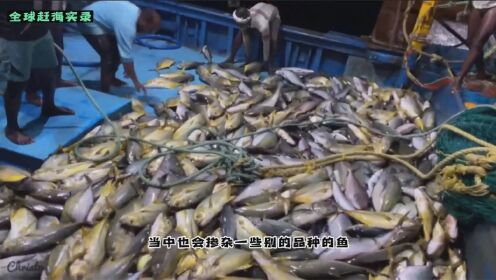 印度深海捕捞船,夜晚下大拖网捕捞一万多斤深海鱼,看着非常过瘾_高清1080P在线观看平台_腾讯视频