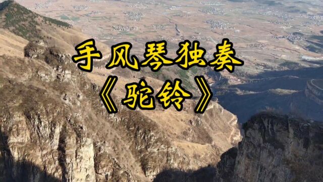 电影《戴手铐的旅客》插曲,手风琴演奏更有韵味