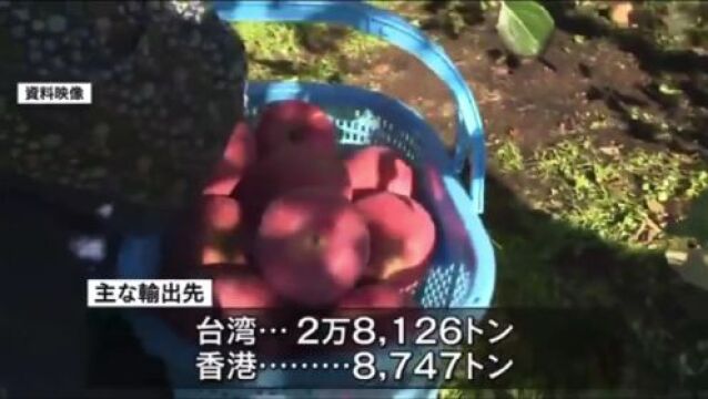 【看新闻 学日语】日本青森 苹果丰产