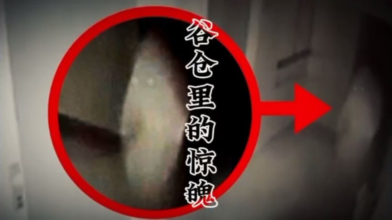 5个让你夜惊胆战心惊的恐怖猎奇视频_高清1080P在线观看平台_腾讯视频