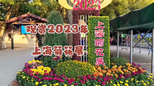 观赏2023年上海菊花展