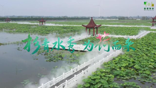 视频:第23届中国ⷮŠ金湖荷花节6月10号盛大开幕