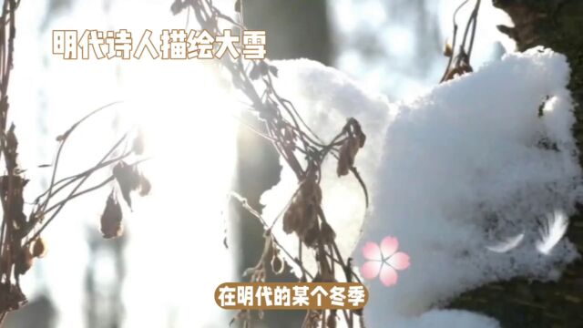 冬日美景:大雪纷飞中的诗意人生