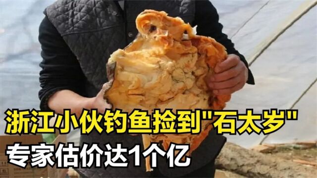 浙江小伙钓鱼捡到石太岁,专家估价达1个亿,小伙要一夜暴富?