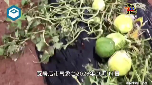  辽宁大连瓦房店市多地遭遇冰雹天气,受灾面积超10万亩