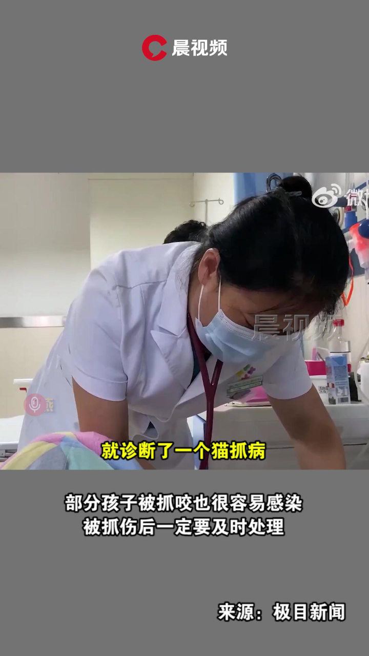 9岁女孩被猫抓伤间断高烧14天,医生:感染了猫抓病_高清1080P在线观看平台_腾讯视频