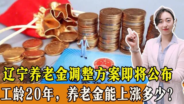 辽宁2023年养老金调整方案即将公布,工龄20年,养老金2500,能上涨多少?