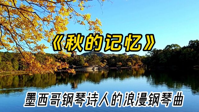 浪漫深情的钢琴曲《秋的记忆》,秋日里的浅浅思念和回忆