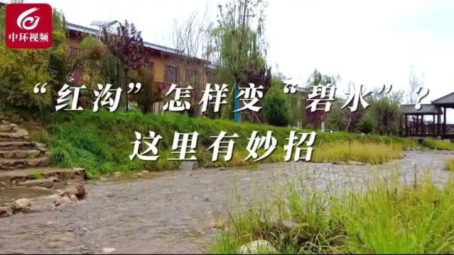 黄河生态行,今天看甘肃→