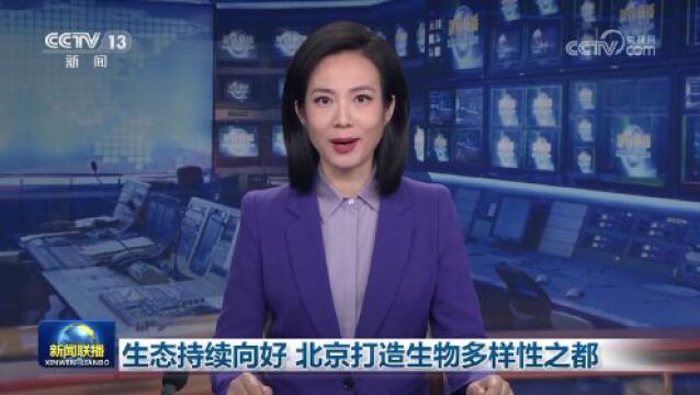 北京生态环境持续向好,生物多样性愈发丰富!