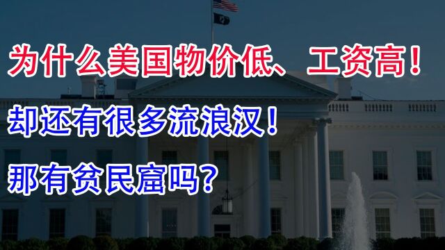 为什么美国物价低、工资高!却还有很多流浪汉,那有贫民窟吗?