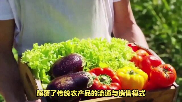 钱大妈助力培育地标产品,推动乡村振兴