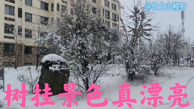 一晚上下这么大的雪,小区里的景色非常漂亮,下午到山里欣赏雪景