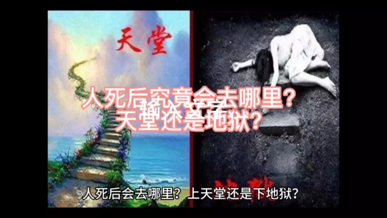 人死后究竟会去哪里?_高清1080P在线观看平台_腾讯视频